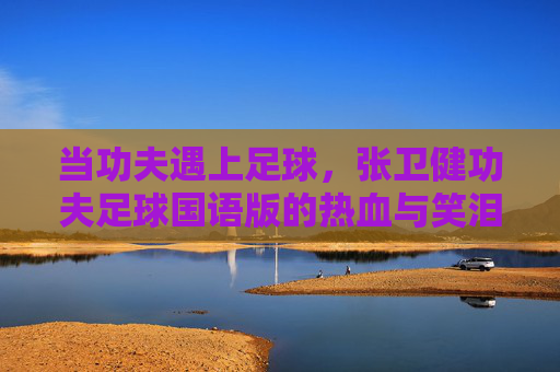 当功夫遇上足球，张卫健功夫足球国语版的热血与笑泪