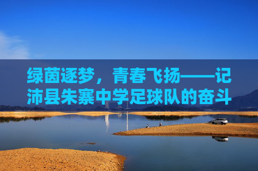 绿茵逐梦，青春飞扬——记沛县朱寨中学足球队的奋斗之路，沛县朱寨中学足球队，青春飞扬绿茵逐梦