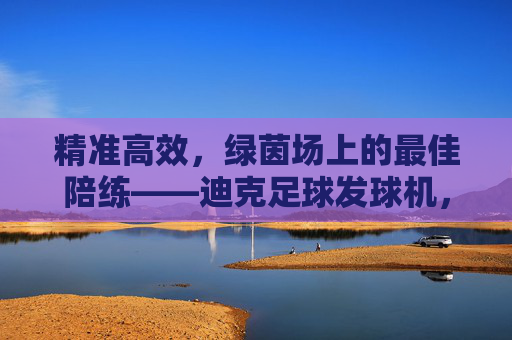 精准高效，绿茵场上的最佳陪练——迪克足球发球机，精准高效，绿茵场最佳陪练——迪克足球发球机