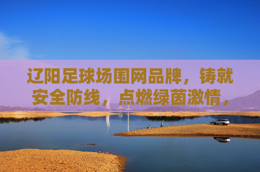 辽阳足球场围网品牌，铸就安全防线，点燃绿茵激情，辽阳足球场围网品牌，筑牢安全防线，点燃绿茵激情