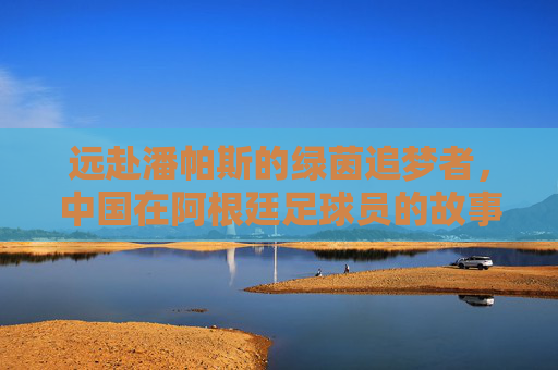 远赴潘帕斯的绿茵追梦者，中国在阿根廷足球员的故事，潘帕斯的中国绿茵追梦者