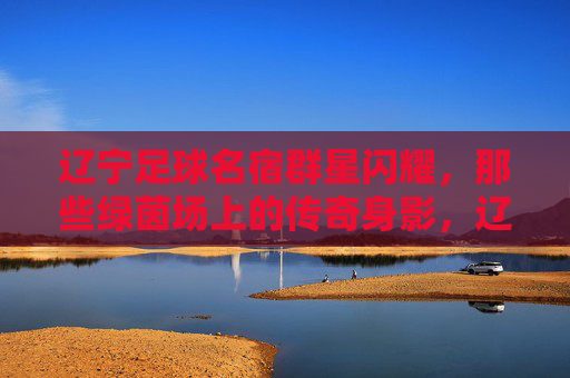 辽宁足球名宿群星闪耀，那些绿茵场上的传奇身影，辽宁足球名宿，绿茵场上的传奇群星