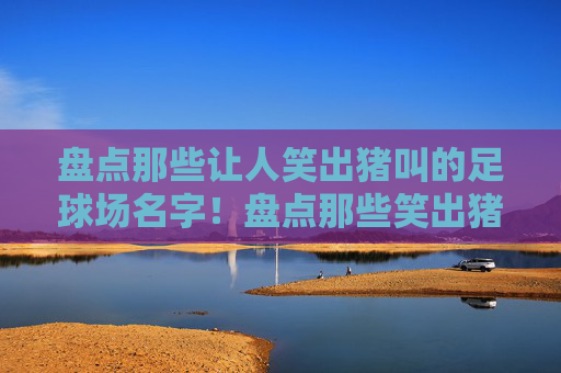盘点那些让人笑出猪叫的足球场名字！盘点那些笑出猪叫的足球场名字！