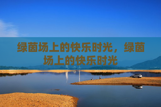绿茵场上的快乐时光，绿茵场上的快乐时光