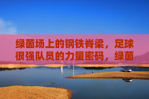 绿茵场上的钢铁脊梁，足球很强队员的力量密码，绿茵钢铁脊梁，足球队员力量密码