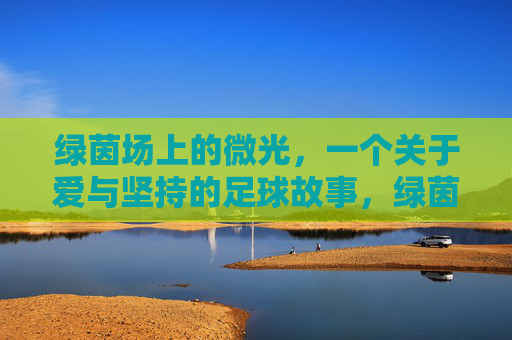 绿茵场上的微光，一个关于爱与坚持的足球故事，绿茵场上的微光，爱与坚持