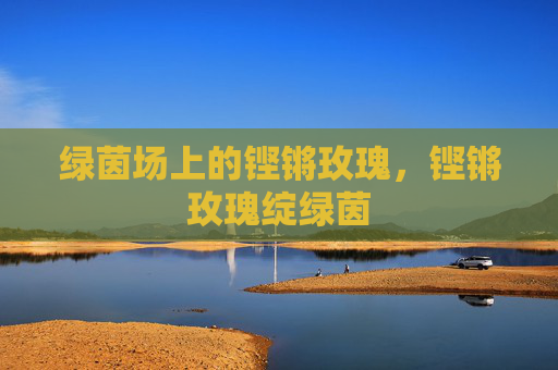 绿茵场上的铿锵玫瑰，铿锵玫瑰绽绿茵