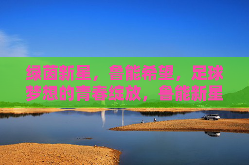 绿茵新星，鲁能希望，足球梦想的青春绽放，鲁能新星逐梦青春
