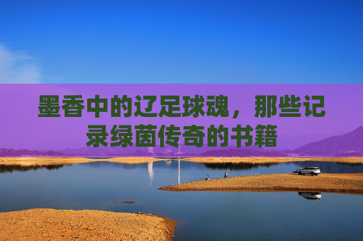 墨香中的辽足球魂，那些记录绿茵传奇的书籍