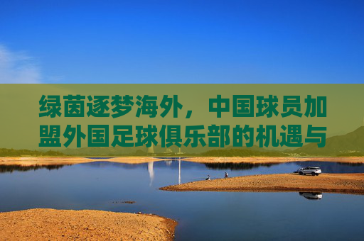 绿茵逐梦海外，中国球员加盟外国足球俱乐部的机遇与挑战，绿茵逐梦海外，中国球员留洋的机遇与挑战