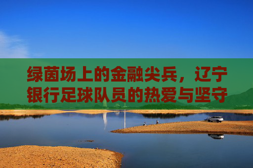绿茵场上的金融尖兵，辽宁银行足球队员的热爱与坚守，绿茵金融尖兵，辽宁银行足球队的热爱与坚守