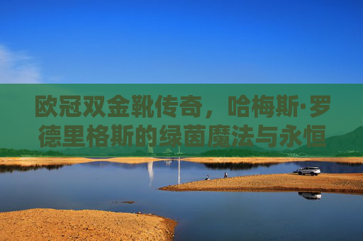 欧冠双金靴传奇，哈梅斯·罗德里格斯的绿茵魔法与永恒瞬间，欧冠双金靴传奇，哈梅斯的绿茵魔法与永恒瞬间