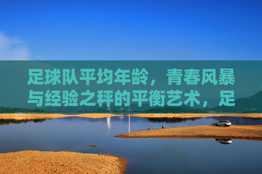 足球队平均年龄，青春风暴与经验之秤的平衡艺术，足球队平均年龄，青春风暴与经验的平衡艺术