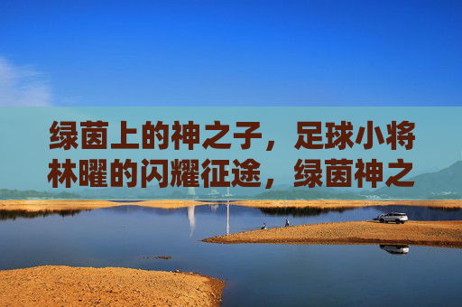 绿茵上的神之子，足球小将林曜的闪耀征途，绿茵神之子，林曜的闪耀征途