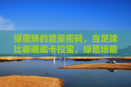 绿茵场的能量密码，当足球比赛邂逅卡拉宝，绿茵场能量密码，足球比赛邂逅卡拉宝