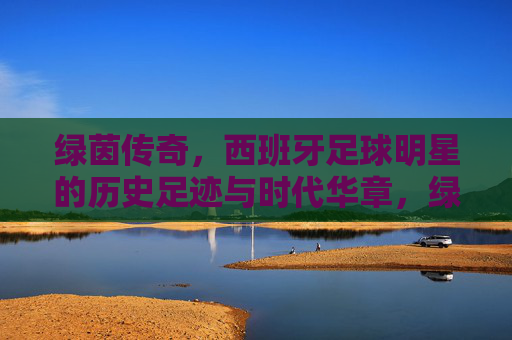 绿茵传奇，西班牙足球明星的历史足迹与时代华章，绿茵传奇，西班牙足球明星的历史足迹与时代华章