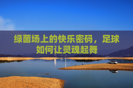 绿茵场上的快乐密码，足球如何让灵魂起舞