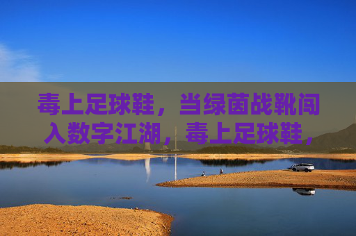 毒上足球鞋，当绿茵战靴闯入数字江湖，毒上足球鞋，绿茵战靴闯数字江湖