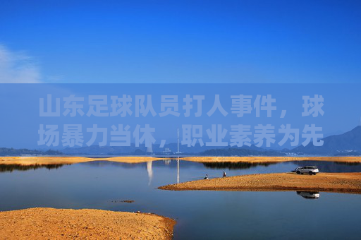 山东足球队员打人事件，球场暴力当休，职业素养为先，山东足球队员打人事件，球场暴力当休，职业素养为先