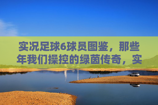 实况足球6球员图鉴，那些年我们操控的绿茵传奇，实况足球6球员图鉴，那些年我们操控的绿茵传奇