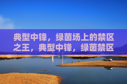 典型中锋，绿茵场上的禁区之王，典型中锋，绿茵禁区之王