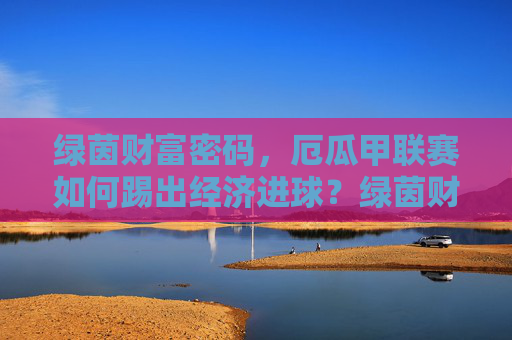 绿茵财富密码，厄瓜甲联赛如何踢出经济进球？绿茵财富密码，厄瓜甲联赛的经济进球之道