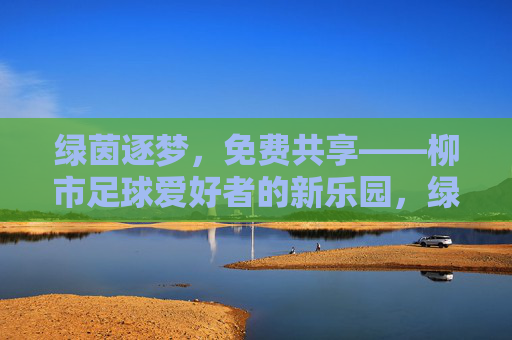 绿茵逐梦，免费共享——柳市足球爱好者的新乐园，绿茵逐梦，免费共享——柳市足球新乐园