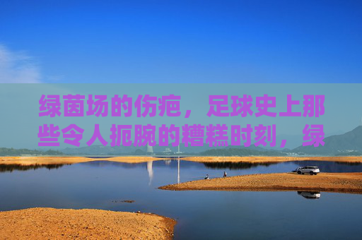 绿茵场的伤疤，足球史上那些令人扼腕的糟糕时刻，绿茵场的伤疤，足球史上那些扼腕之痛