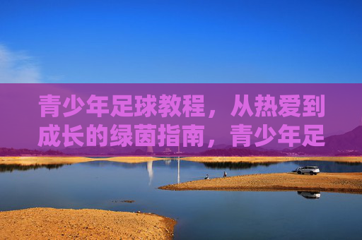 青少年足球教程，从热爱到成长的绿茵指南，青少年足球教程，从热爱到成长的绿茵指南