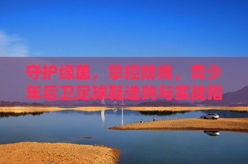 守护绿茵，掌控防线，青少年后卫足球鞋选购与实战指南，守护绿茵掌控防线，青少年后卫足球鞋选购与实战指南