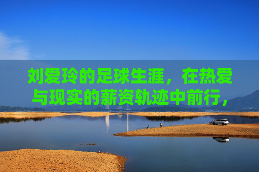 刘爱玲的足球生涯，在热爱与现实的薪资轨迹中前行，刘爱玲足球生涯，热爱与薪资现实的轨迹