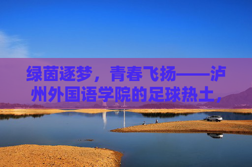绿茵逐梦，青春飞扬——泸州外国语学院的足球热土，绿茵逐梦，青春飞扬——泸州外国语学院的足球热土