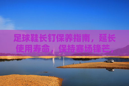 足球鞋长钉保养指南，延长使用寿命，保持赛场锋芒，足球鞋长钉保养指南，延长使用寿命，保持赛场锋芒