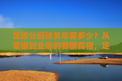 足球公园球员年薪多少?从草根到业余的薪酬真相,足球公园球员年薪揭秘,草根到业余的薪酬真相 足球公园球员年薪多少?从草根到业余的薪酬真相,足球公园球员年薪揭秘,草根到业余的薪酬真相