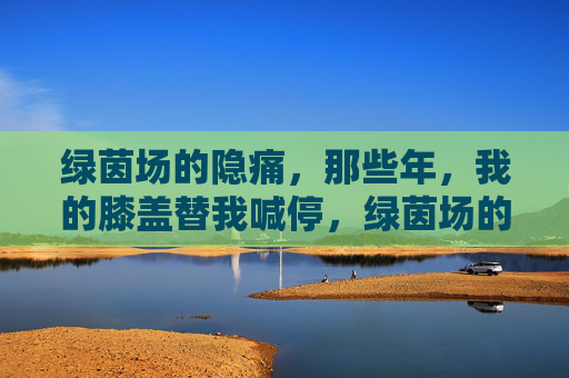 绿茵场的隐痛,那些年,我的膝盖替我喊停,绿茵场的隐痛,那些年,膝盖替我喊停 绿茵场的隐痛,那些年,我的膝盖替我喊停,绿茵场的隐痛,那些年,膝盖替我喊停