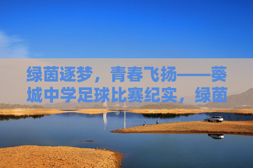 绿茵逐梦，青春飞扬——葵城中学足球比赛纪实，绿茵逐梦，青春飞扬——葵城中学足球赛