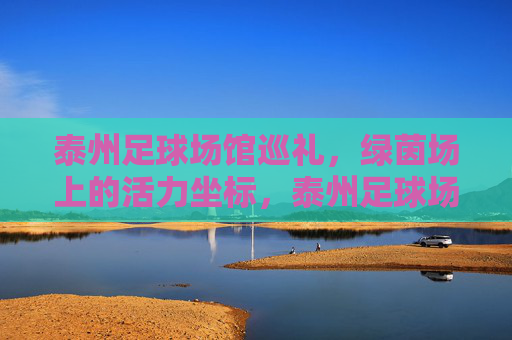 泰州足球场馆巡礼，绿茵场上的活力坐标，泰州足球场馆，绿茵活力坐标