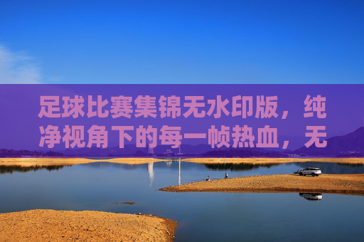 足球比赛集锦无水印版，纯净视角下的每一帧热血，无水印足球集锦，纯净视角帧帧热血