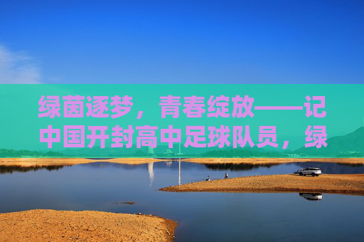绿茵逐梦，青春绽放——记中国开封高中足球队员，绿茵逐梦，青春绽放——开封高中足球队员