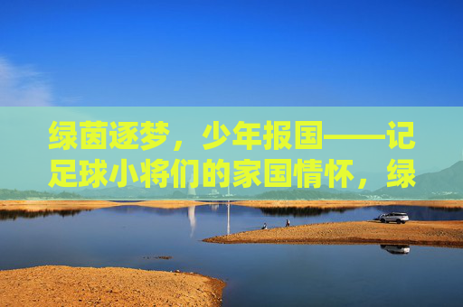 绿茵逐梦，少年报国——记足球小将们的家国情怀，绿茵逐梦少年志，报国情怀足球心