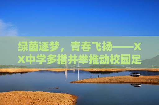 绿茵逐梦，青春飞扬——XX中学多措并举推动校园足球发展，绿茵逐梦，青春飞扬——XX中学多措并举推动校园足球发展