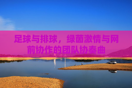 足球与排球，绿茵激情与网前协作的团队协奏曲