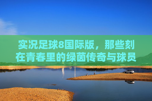 实况足球8国际版，那些刻在青春里的绿茵传奇与球员群像，实况足球8国际版，刻在青春里的绿茵传奇与群像