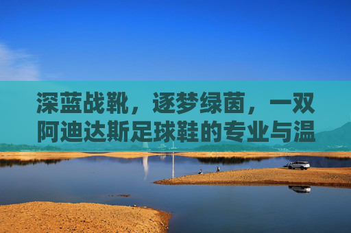 深蓝战靴，逐梦绿茵，一双阿迪达斯足球鞋的专业与温度，深蓝战靴逐梦绿茵，阿迪达斯足球鞋的专业与温度