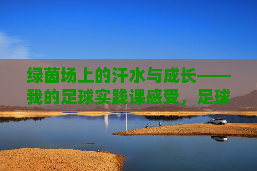 绿茵场上的汗水与成长——我的足球实践课感受，足球实践课，绿茵场上的汗水与成长