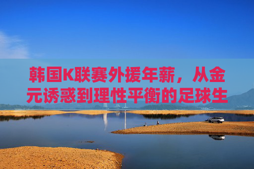 韩国K联赛外援年薪，从金元诱惑到理性平衡的足球生态