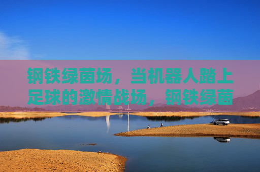 钢铁绿茵场，当机器人踏上足球的激情战场，钢铁绿茵场，机器人足球的激情战场