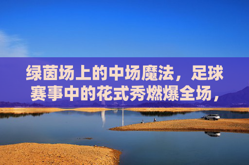 绿茵场上的中场魔法，足球赛事中的花式秀燃爆全场，绿茵中场魔法，花式秀燃爆全场