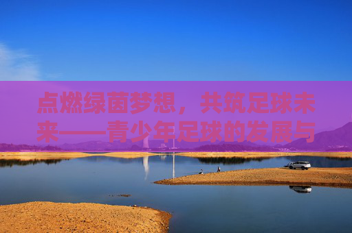 点燃绿茵梦想，共筑足球未来——青少年足球的发展与展望，青少年足球，筑梦绿茵，展望未来