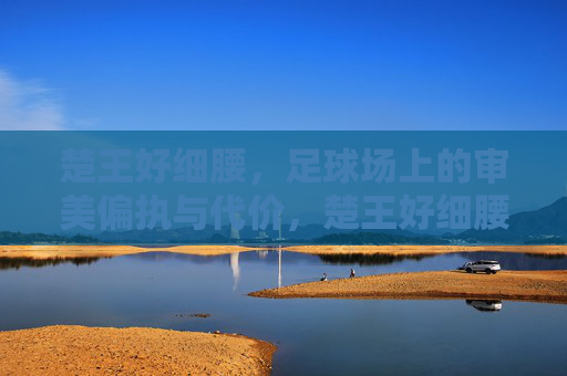 楚王好细腰，足球场上的审美偏执与代价，楚王好细腰，足球场上的审美偏执与代价